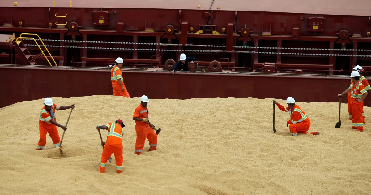 Brasil e China: Novas negociações em meio a exigências sanitárias da soja